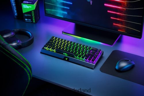 toetsenbord Razer blackwidow v3 mini hyperspeed - fantoomeditie - gele schakelaar - us zwart 68P0PB64