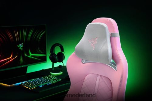 gaming stoel Razer hoofd kussen kwarts 68P0PB143